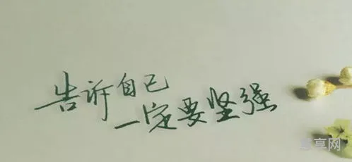 描写坚强的名言(坚强的句子经典语录)