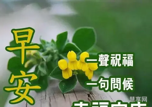 清晨祝福短信(早晨祝福语简短)