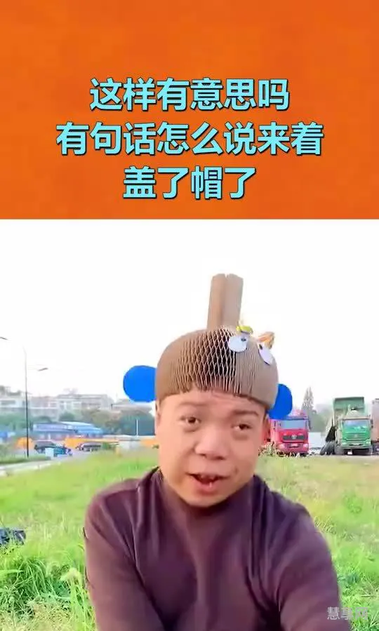 盖了帽了什么意思(盖了帽了的由来)