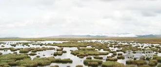 湿地被称为什么(湿地古代雅称)