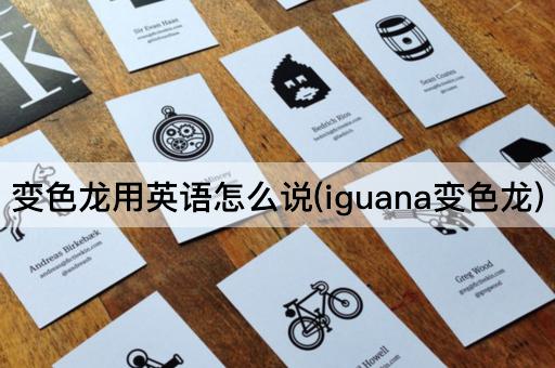 变色龙用英语怎么说(iguana变色龙)