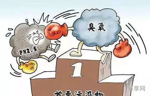 臭氧污染对人体的危害(臭氧一般闻多久会中毒)