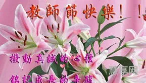 10字鲜花贺卡老师(送老师花的简短句子)