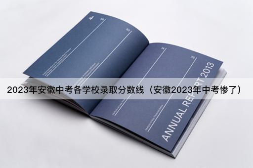 2023年安徽中考各校录取线公布