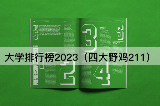 大学排行榜2023（四大争议211）