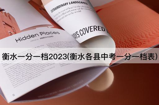 衡水一分一档2023(衡水各县中考一分一档表)