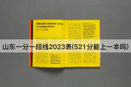 山东一分一段线2023表(521分能上一本吗)