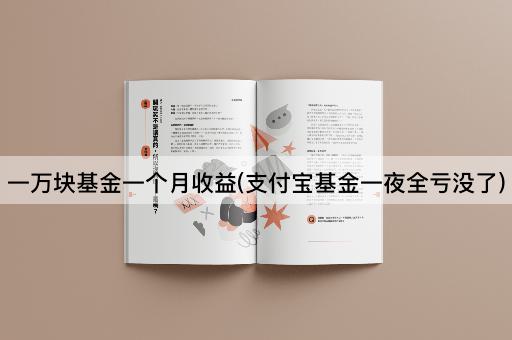 一万块基金一个月收益(支付宝基金一夜全亏没了)