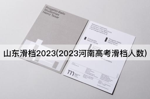 山东滑档2023(2023河南*滑档人数)