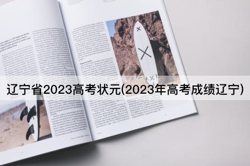 辽宁省2023高考状元(2023年高考成绩辽宁)