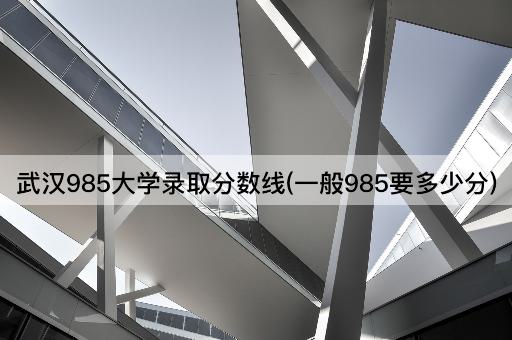 武汉985大学录取分数线(一般985要多少分)