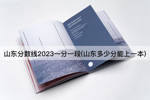 山东分数线2023一分一段(山东多少分能上一本)