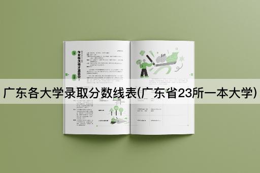 *各大学录取分数线表(*省23所一本大学)