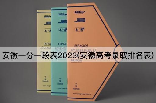 安徽一分一段表2023(安徽*录取排名表)