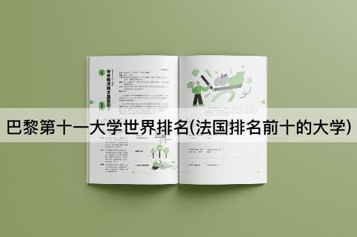 巴黎第十一大学世界排名(法国排名前十的大学)