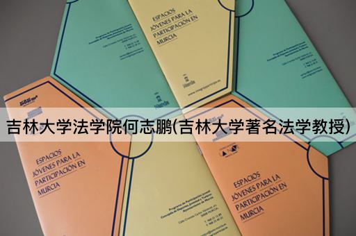 吉林大学法学院何志鹏(吉林大学著名法学教授)