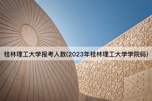 桂林理工大学报考人数(2023年桂林理工大学学院码)