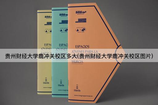 贵州财经大学鹿冲关校区多大(贵州财经大学鹿冲关校区图片)