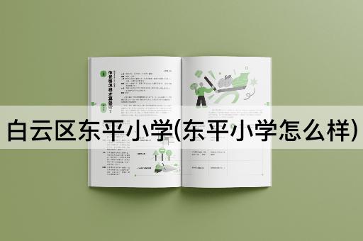 白云区东平小学(东平小学怎么样)