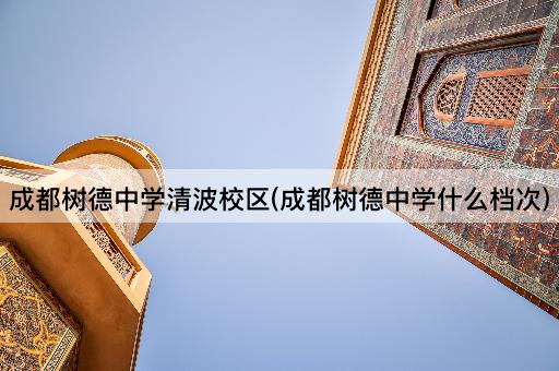 成都树德中学清波校区(成都树德中学什么档次)