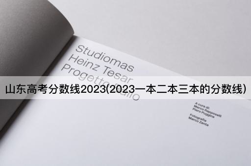 山东*分数线2023(2023一本二本三本的分数线)