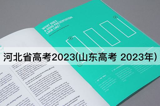 *省*2023(山东* 2023年)