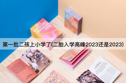 第一批二孩上小学了(二胎入学高峰2023还是2023)