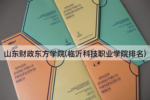 山东财政东方学院(临沂科技职业学院排名)