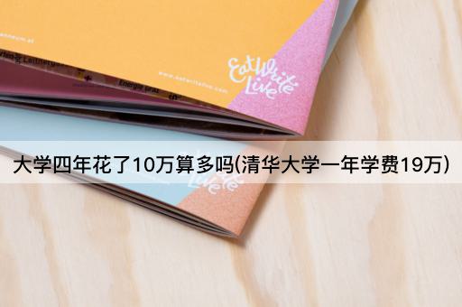 大学四年花了10万算多吗(清华大学一年学费19万)