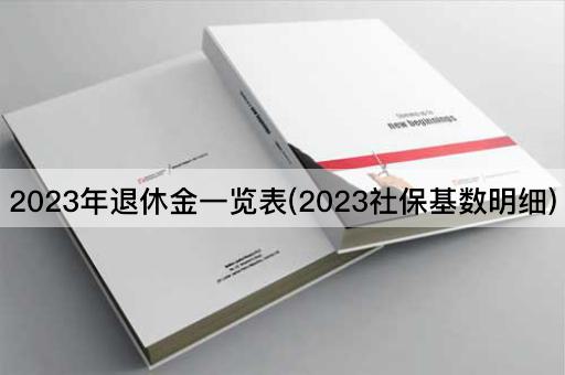 2023年退休金一览表(2023社保基数明细)