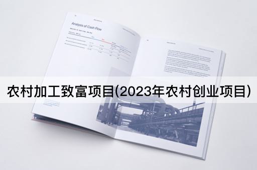 农村加工致富项目(2023年农村创业项目)