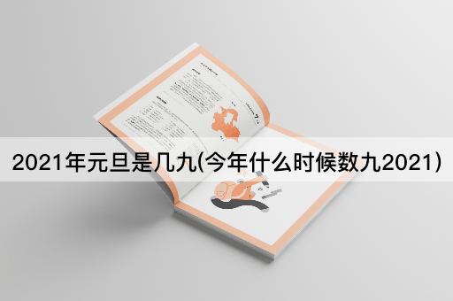 2021年元旦是几九(今年什么时候数九2021)