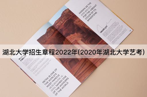 湖北大学招生章程2022年(2020年湖北大学艺考)