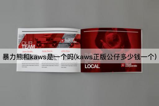 暴力熊和kaws是一个吗(kaws正版公仔多少钱一个)