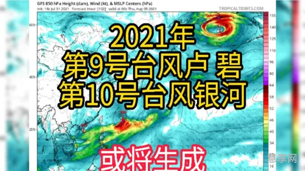 2021第10号台风(2020一共有几个台风)