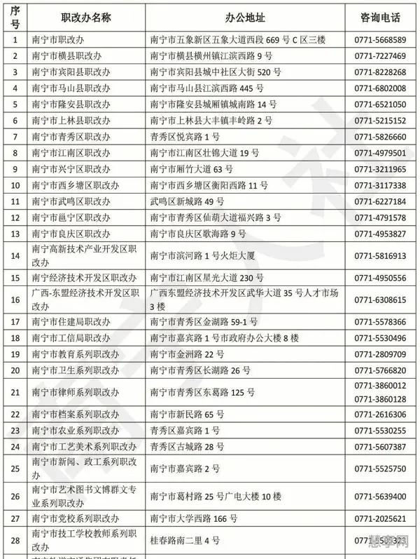 南宁职改办职称查询(广西专业技术人员职称申报平台)