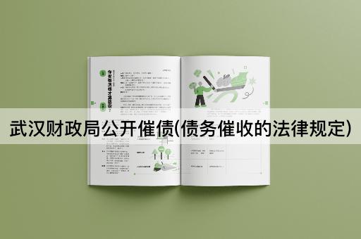 武汉财政局公开催债(债务催收的法律规定)