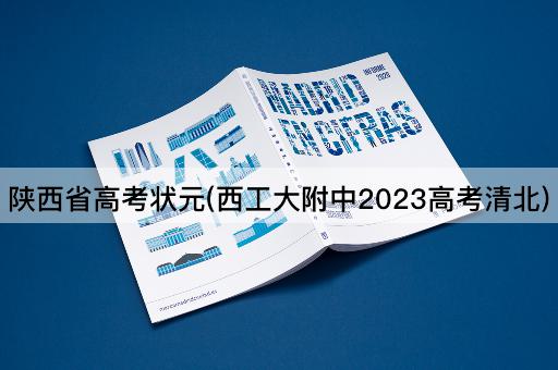 陕西省高考状元(西工大附中2023高考清北)