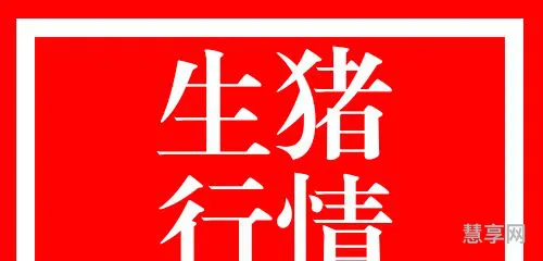 猪价爆发大涨价即将开始(2024年春节前猪价会多少)