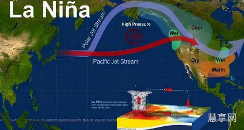 拉尼娜现象的影响(厄尔尼诺和拉尼娜现象)