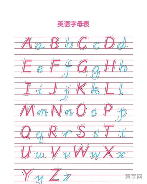 英语字母书写格式(26个字母写法图片)