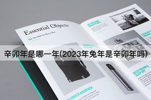 辛卯年是哪一年(2023年兔年是辛卯年吗)